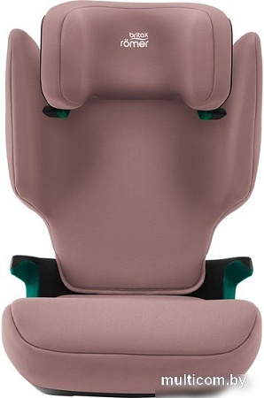 Детское автокресло Britax Romer Discovery Plus 2 (dusty rose)