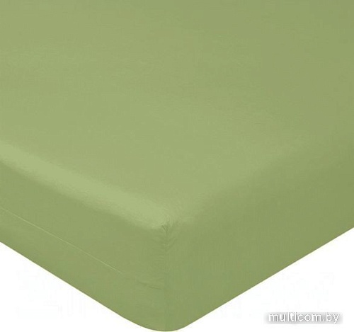 Постельное белье Luxsonia Поплин на резинке 80x200 Мр0040-24 (эвкалипт)