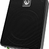 Корпусной активный сабвуфер Phoenix Gold ZB8P