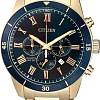 Наручные часы Citizen AN8169-58L