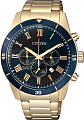 Наручные часы Citizen AN8169-58L