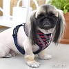 Шлейка Puppia Briton PAUA-HA1829-RD-M (красный)
