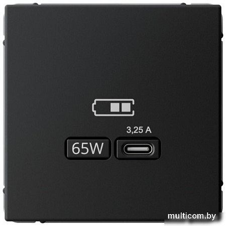 Розетка Type-C Systeme Electric ArtGallery GAL001027