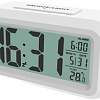 Радиочасы Ritmix CAT-100 (белый)