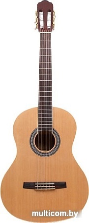 Акустическая гитара Aileen AC965H