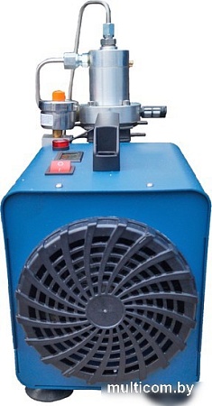 Компрессор Frosp КВД PCP 30 А