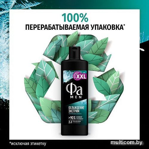 Fa Гель для душа Men Охлаждение экстримАрктическая свежесть 450 мл