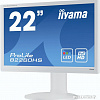 Монитор Iiyama ProLite B2280HS-W1