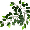 Искусственное растение Forgarden Фикус BN11126