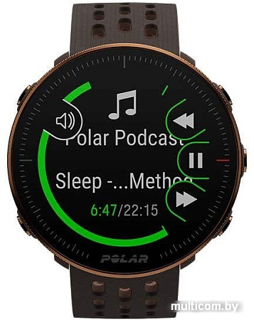 Умные часы Polar Vantage M2 S/L (коричневый)