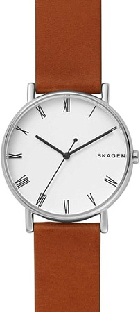 Наручные часы Skagen SKW6427