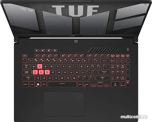 Игровой ноутбук ASUS TUF Gaming A17 FA707RM-HX020