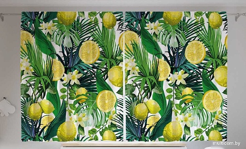 JoyArty Лимоны и тропики p_31935 (145x180)