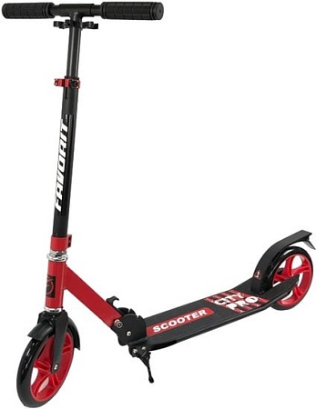 Самокат Favorit XZ-122BR