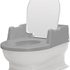 Детский горшок Reer Sitzfritz 44221 (серый)