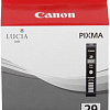 Картридж Canon PGI-29DGY [4870B001]
