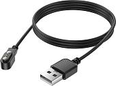 Умные часы Borofone BD11 (черный)