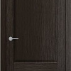 Межкомнатная дверь Юркас Stark ST23 ДГ 70x200 (венге)