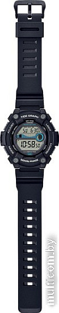 Наручные часы Casio WS-1300H-1A