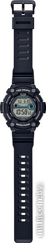 Наручные часы Casio WS-1300H-1A