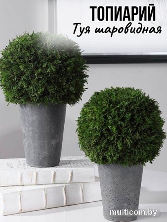 Искусственное растение Merry Bear Home Decor Туя шаровидная KDA0255