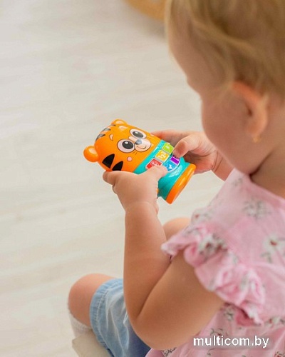 Развивающая игрушка Азбукварик Тигренок 2955