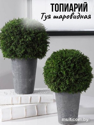 Искусственное растение Merry Bear Home Decor Туя шаровидная KDA0255