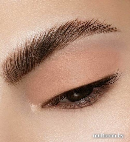 Тени для век Lux Visage Matt Tint 101