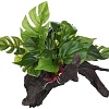 Искусственное растение Lucky Reptile Wood Premium FWP-2