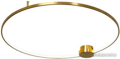 Припотолочная люстра Lussole Lowell LSP-7111