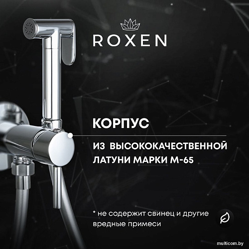 Гигиенический душ Roxen Santi 500940-B