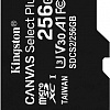 Карта памяти Kingston Canvas Select Plus microSDXC 256GB