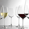 Набор бокалов для вина Stolzle Grand CuveeInVino 2100001-6