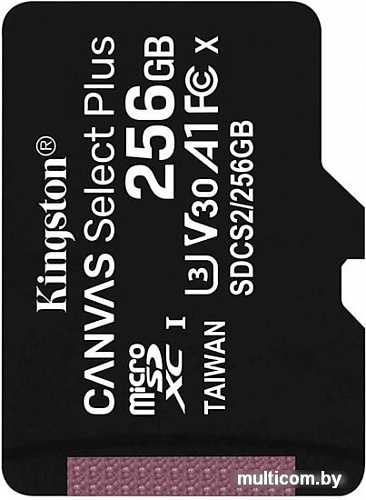 Карта памяти Kingston Canvas Select Plus microSDXC 256GB