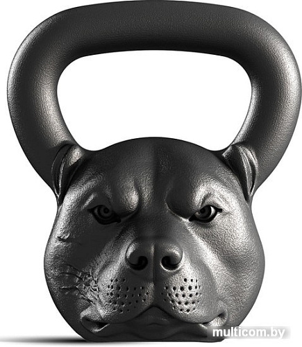 Гиря Iron Head Питбуль 16 кг