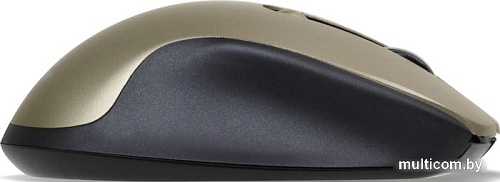 Мышь SmartBuy SBM-508AG-GD