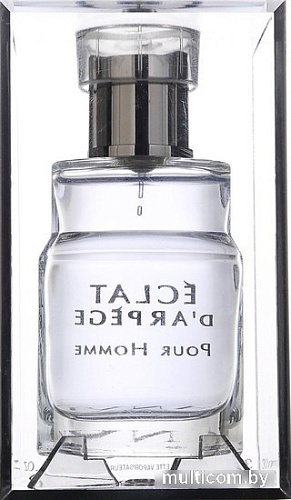 Туалетная вода Lanvin Eclat d'Arpege Pour Homme EdT (30 мл)