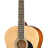 Акустическая гитара Homage LF-3910