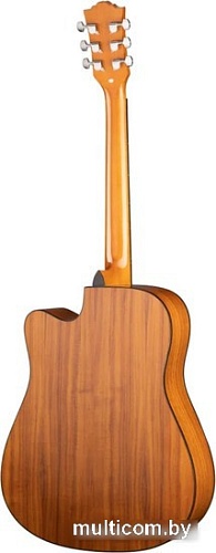 Акустическая гитара Ramis RA-G02C