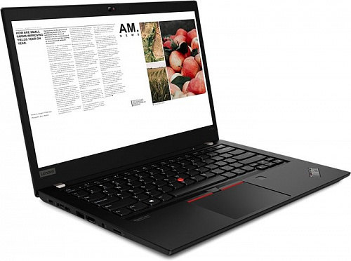 Ноутбук Lenovo ThinkPad T14 Gen1 AMD 20UD0010RT