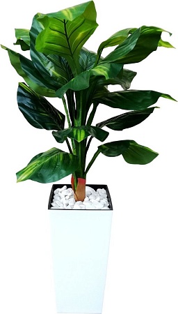 Искусственное растение Forgarden Диффенбахия BN11128