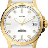 Наручные часы Fossil FB-01 ES5286