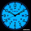 Наручные часы Timex TW2R46700