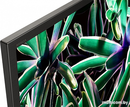 Телевизор Sony KD-65XG7096