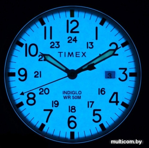 Наручные часы Timex TW2R46700