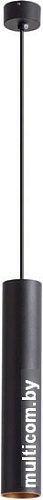 Лампа Arte Lamp Torre A1530SP-1BK