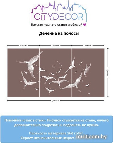 Виниловые обои Citydecor Perfect Lines 11 300x150