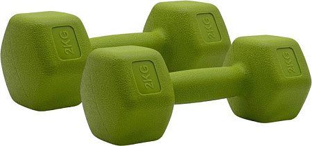 Набор гантелей SportElite H-202 2x2 кг (салатовый)