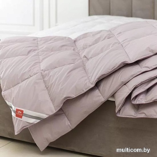 Одеяло Kariguz Спешл пинк СП21-4-2 172x205