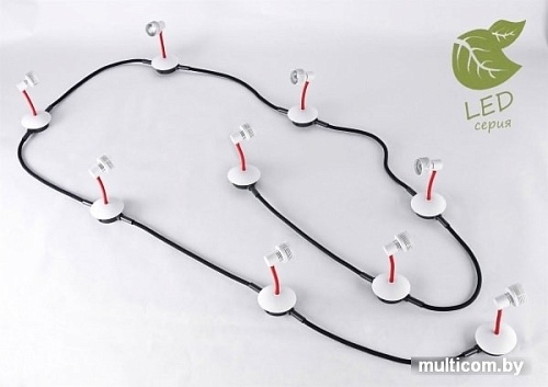 Трековый светильник Lussole LOFT GRLSP-9818-09